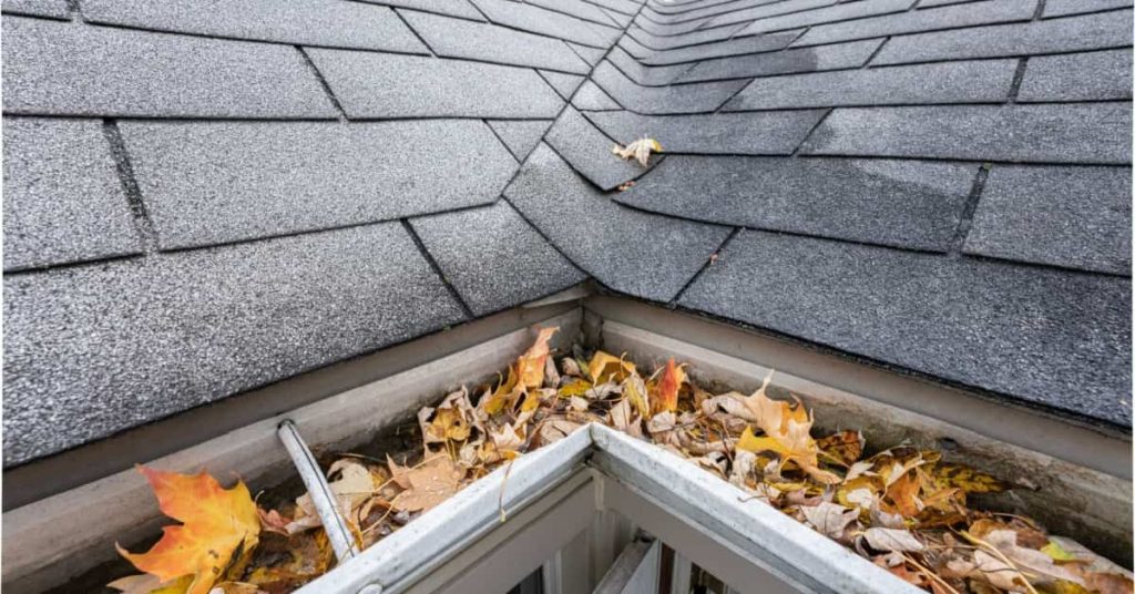 Gouttière remplie de feuilles mortes