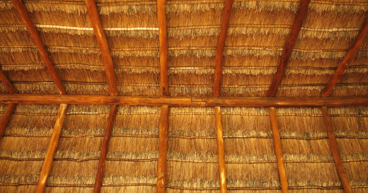 vu intérieur d'une toiture en chaume de type traditionelle 