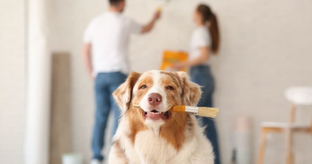 Un chien mignon tient un pinceau entre ses dents