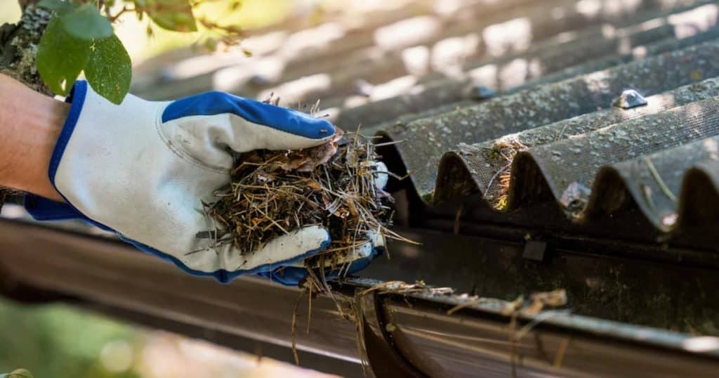 Main ganté remplie de débris devant un toit avec chéneau