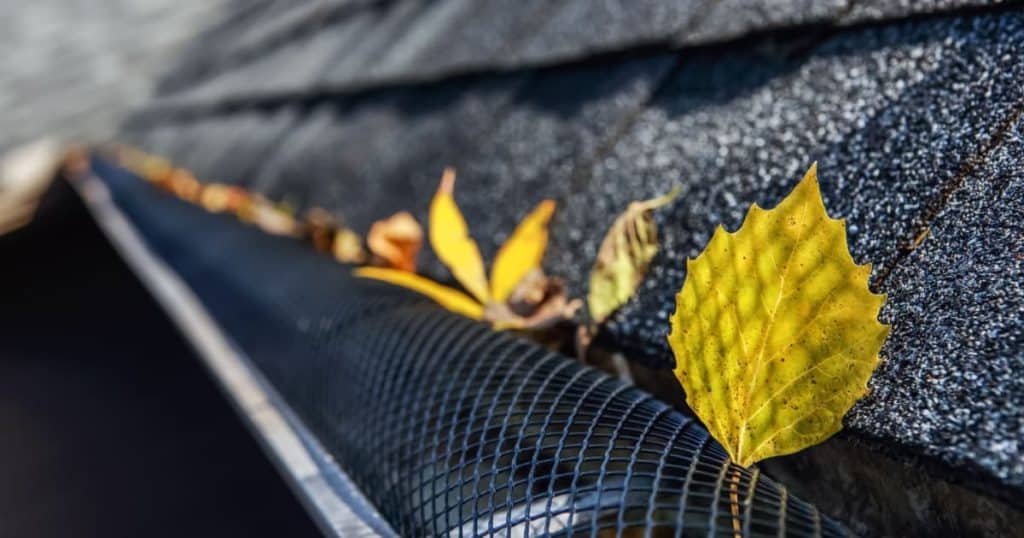 Une crapaudine empêchant les feuilles mortes d'entrer dans la gouttière