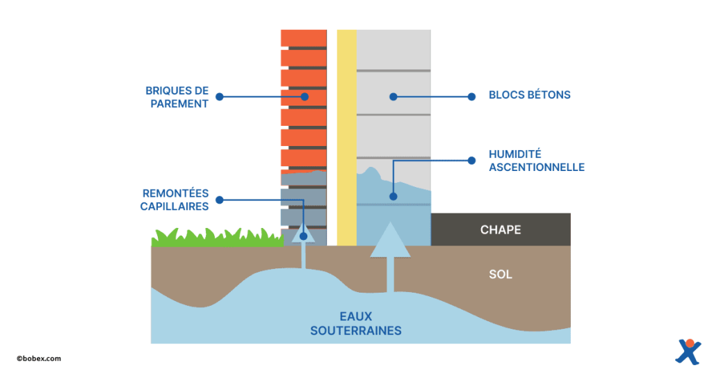 Remontée d'humidité dans le mur
