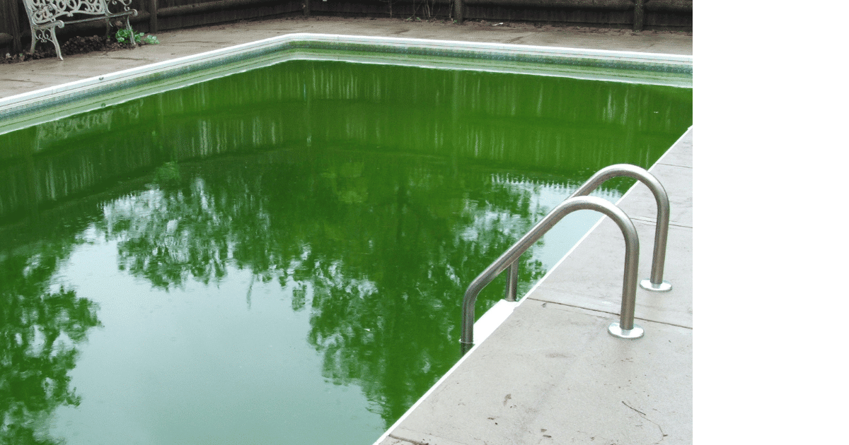 Chlore choc, ma piscine reste verte ! Comment faire ? 