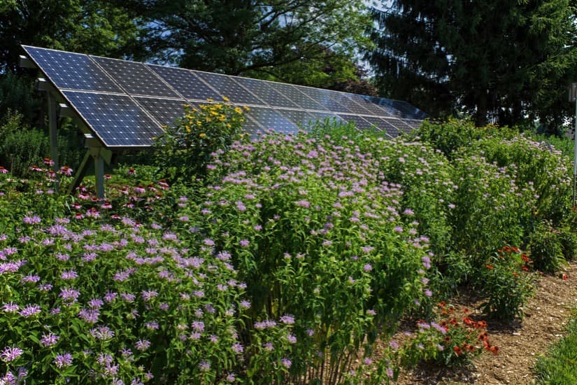 Énergie solaire : que puis-je installer au jardin ?- Blog Promesse de fleurs