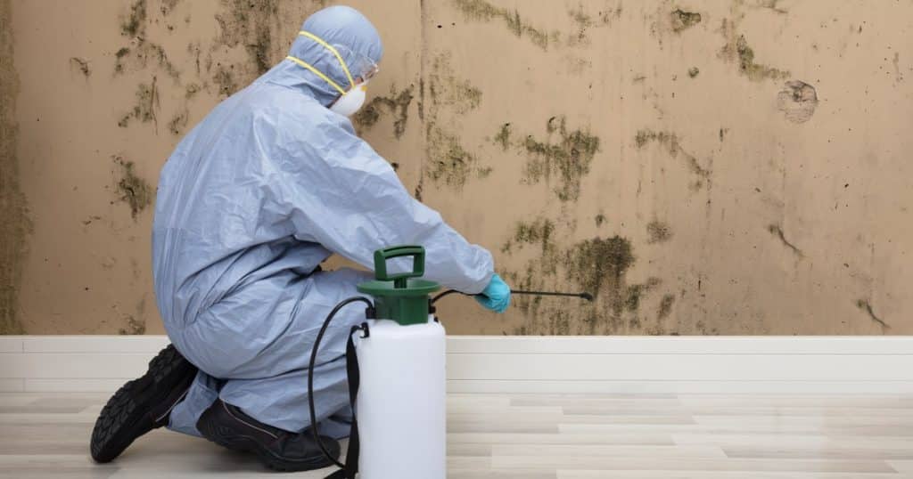 Comment nettoyer la moisissure sur vos murs ? Astuces