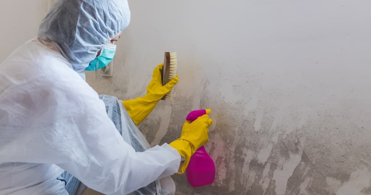 Comment enlever la moisissure des murs : 8 solutions simples