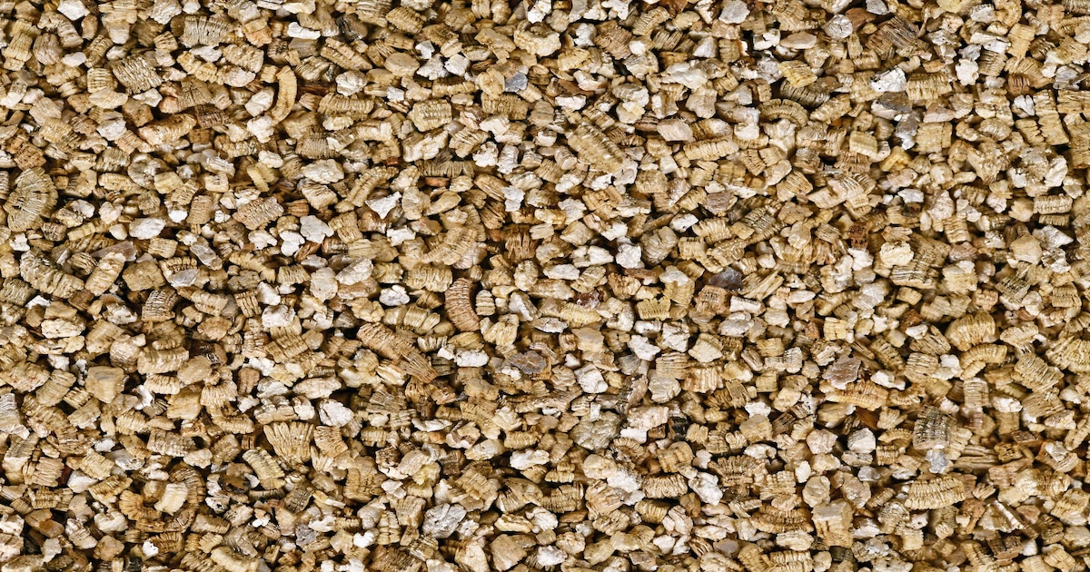 Quelle est la différence entre la perlite et la vermiculite ?