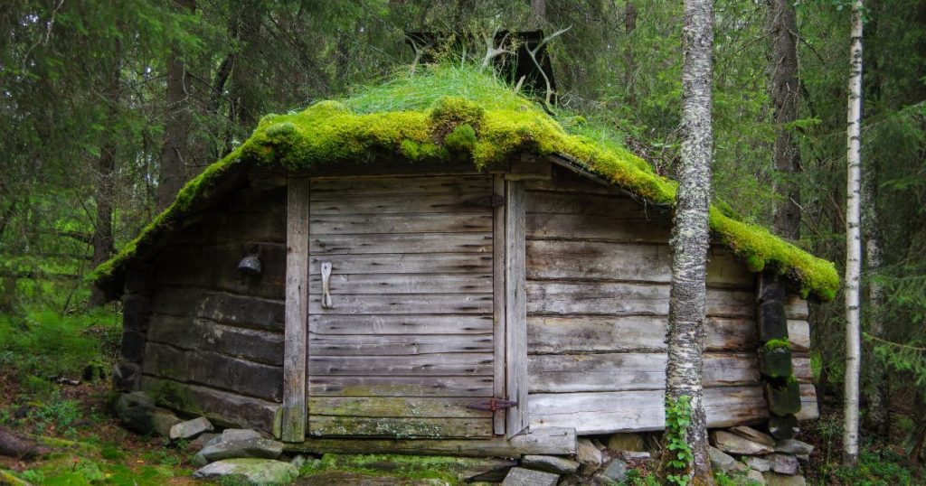 Een wolfsdak of een variatie erop voor een blokhut in een bosrijke omgeving. De dakbekleding bestaat uit grassen en mossen.