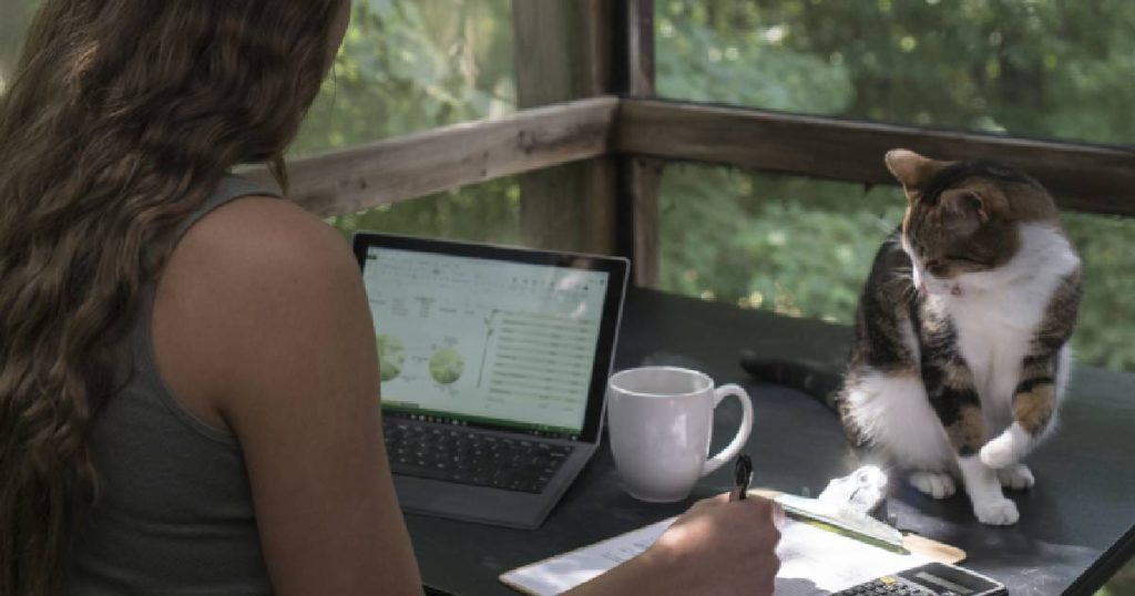 Een dame werkt op haar laptop in een volledig gesloten veranda. Op tafel zit een lapjeskat met witte buik. Naast de laptop staat een wit kopje. De vrouw noteert iets op een clipboard.
