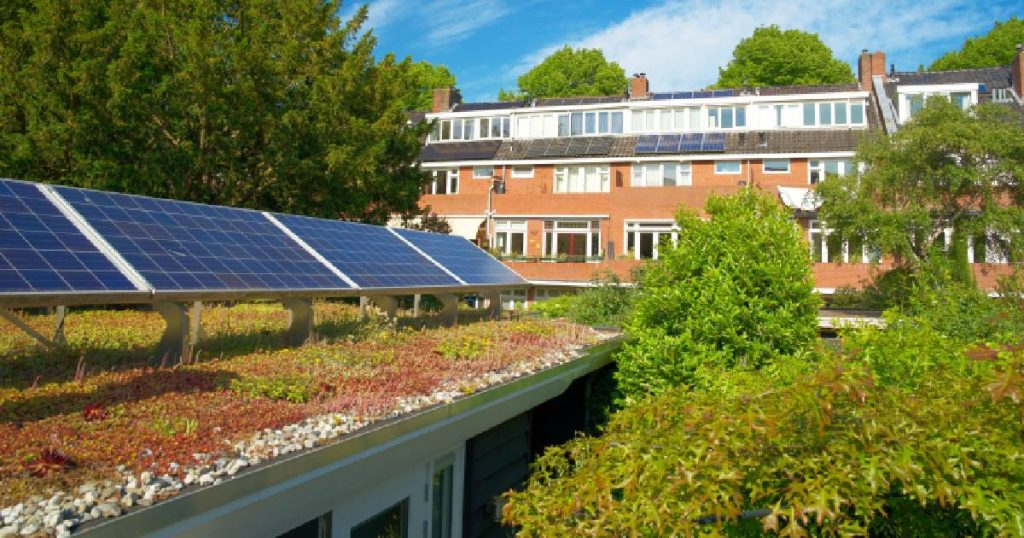 Een klein groendak met sedum en zonnepanelen: een project voor een gemiddelde prijs.