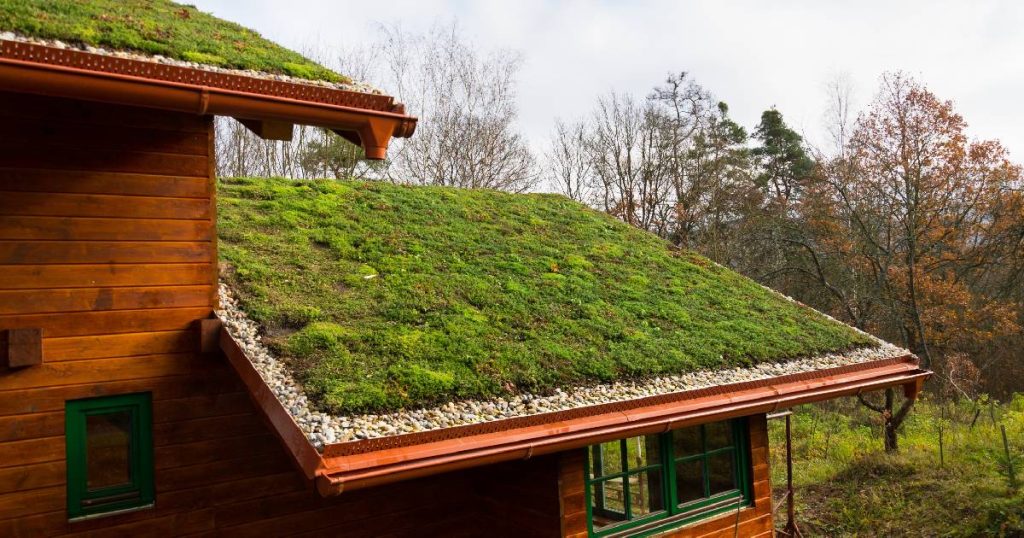 Een woning met houten gevel en een extensief groendak met mossen: een groendak voor een relatief lage prijs.