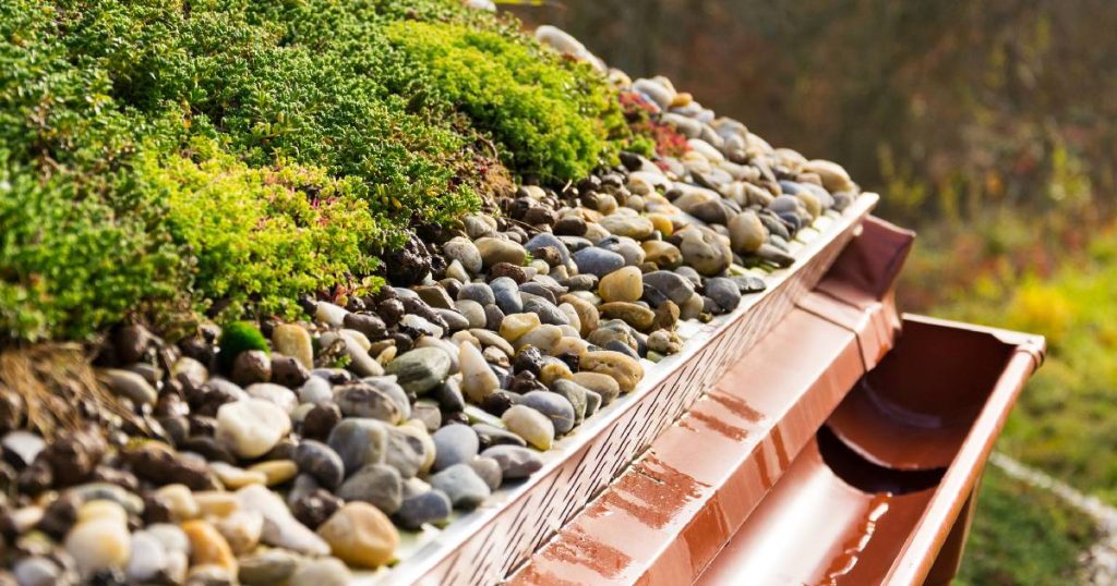 Close-up van de opbouw en lagen van een extensief groendak met mossen, vetplanten, kiezels en een dakgoot.