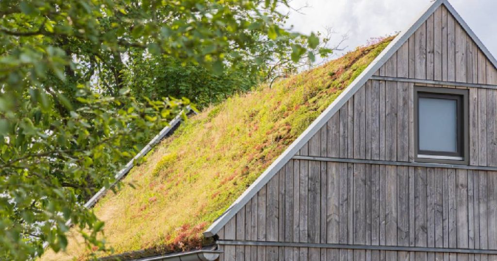 Een woning met houten gevel en extensief groendak met een helling van 45 graden: goed voor een prijs van gemiddeld 70 euro per vierkante meter.