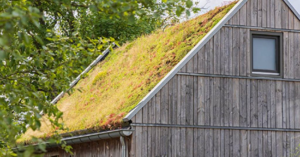 Een hellend, extensief groendak met mossen op een woning met houten gevel.