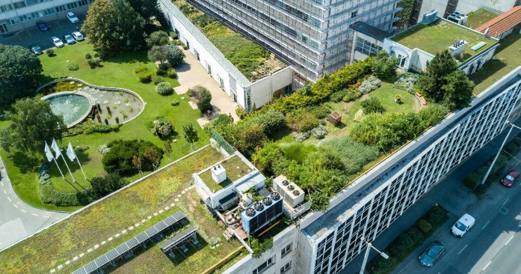 Overzicht van verschillende intensieve en extensieve groendaken. De opbouw van elk groendak is verschillend: een groendak met grassen heeft een smallere substraatlaag dan een groendak met bomen en struiken.