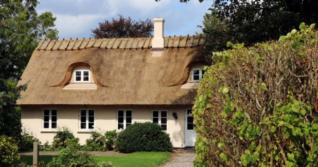 Een klassieke woning met rieten dak en charmante, landelijke uitstraling: een dak met een relatief hoge prijs, maar een lange levensduur.