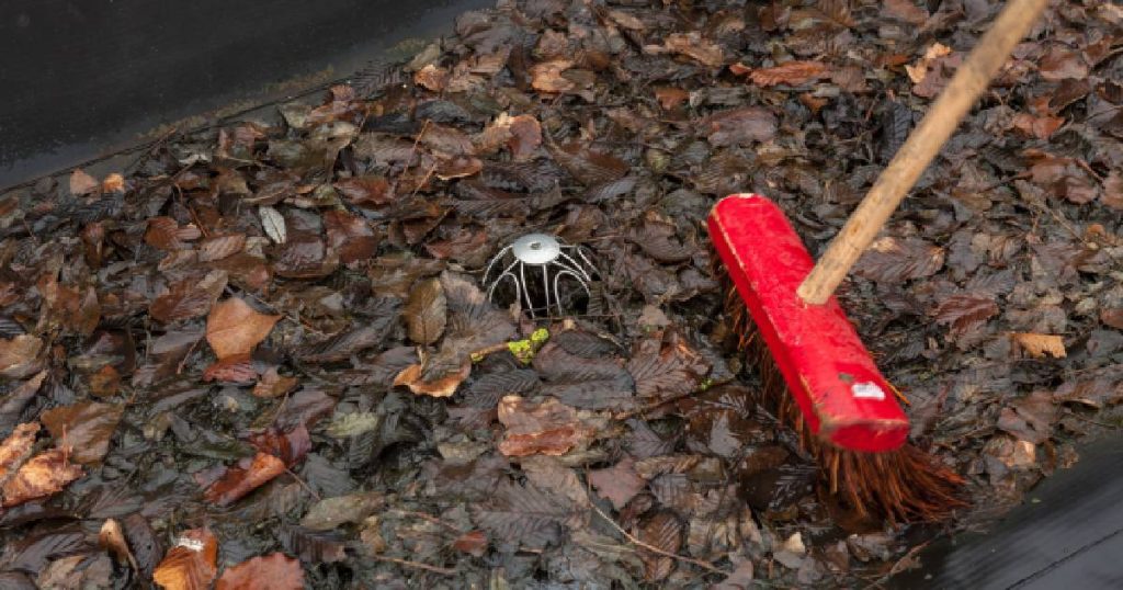 Een bezem gaat de strijd aan met een dakafvoer vol bladafval: een belangrijke stap in de voorbereiding op het herstellen van de roofing. 