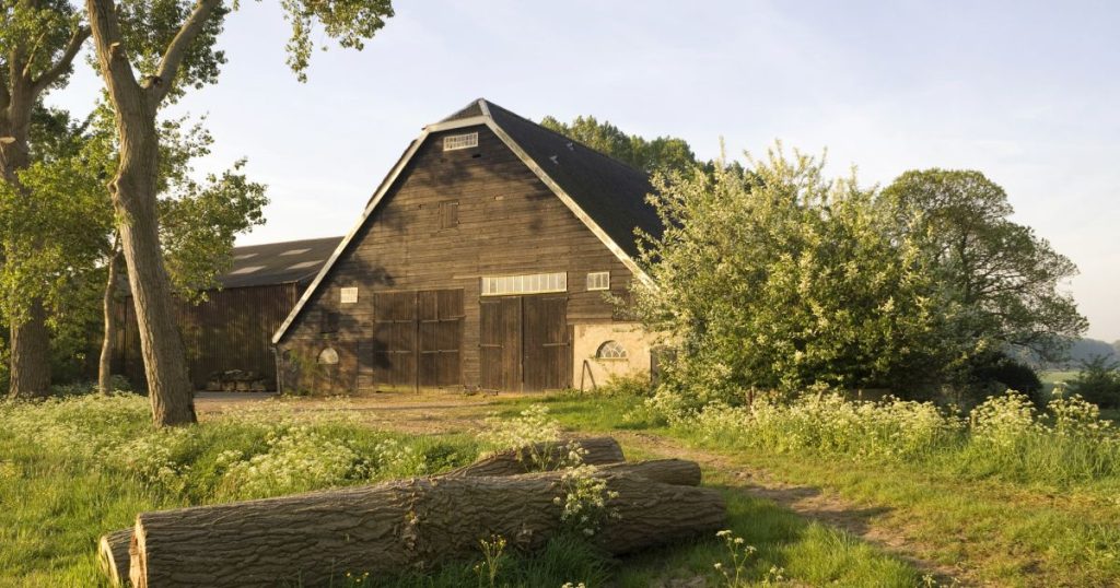 Schuur met wolfskap: karakteristiek voor de Hollandse schuur die dienst kan doen als opslagruimte of als stalling voor dieren.